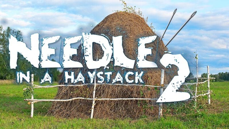 Needle in a Haystack 2